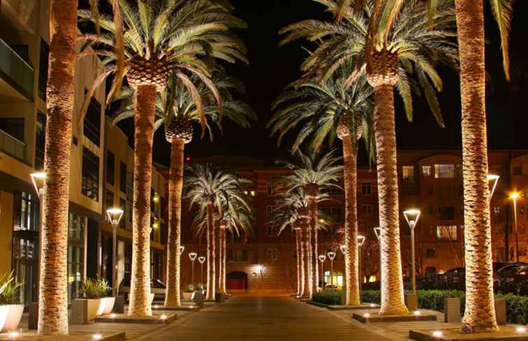 10 cose da fare nel centro di San Jose / California