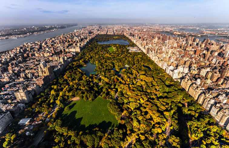 12 dingen om te doen in Central Park / New York