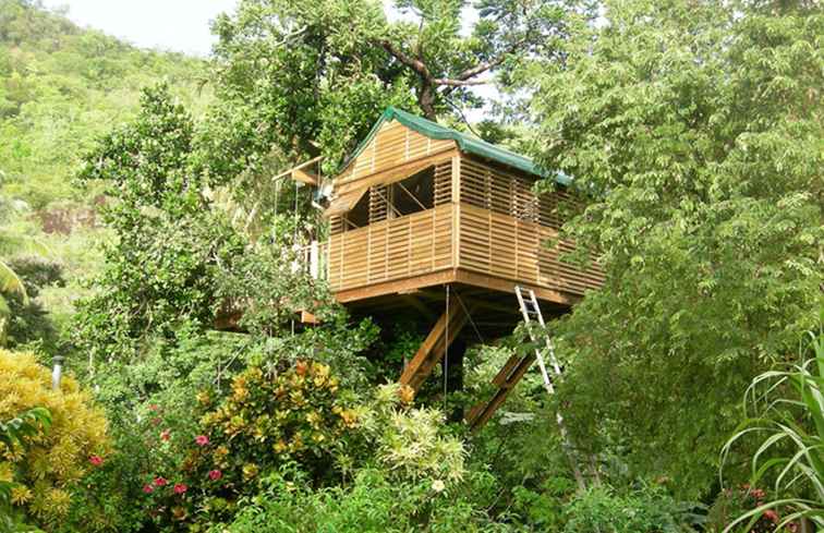 13 manieren om te verblijven in een boomhut in het Caribisch gebied / 