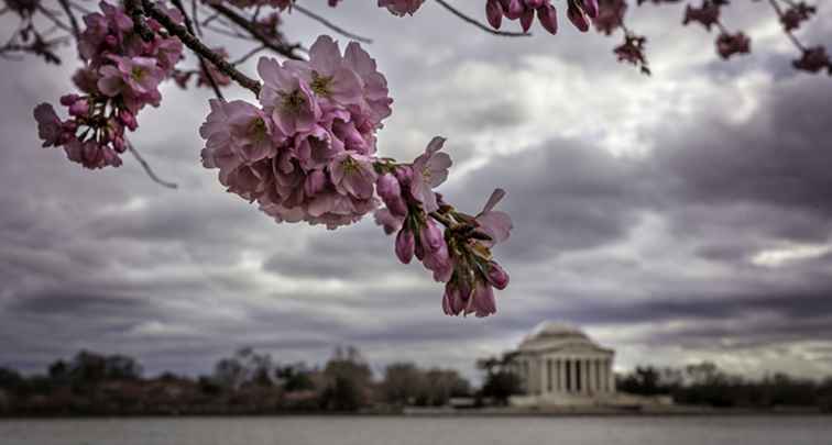 18 cose da fare in un giorno di pioggia a Washington, D.C. / Washington DC.