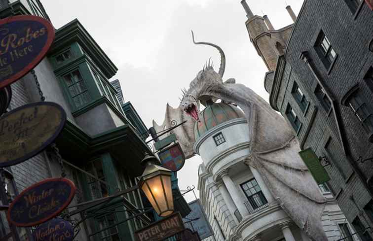 20 Fatti interessanti sul mondo dei maghi di Harry Potter e Diagon Alley / Florida