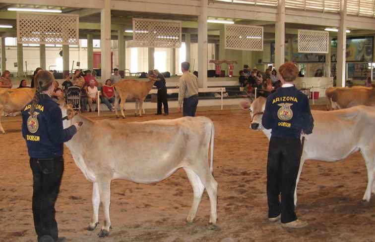 Feria del Condado de Maricopa 2017 en Phoenix / Arizona