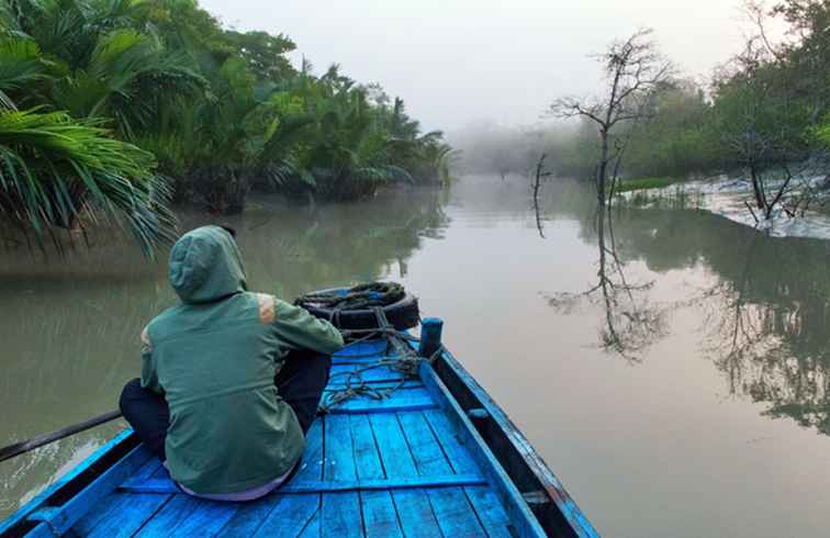 7 migliori tour operator e pacchetti di Sundarban / Asia