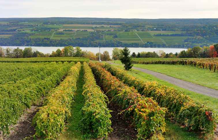 9 choses à faire dans les Southern Finger Lakes, New York / New York