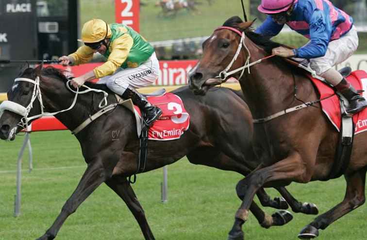 Una breve guía de carreras de caballos en Australia / Australia