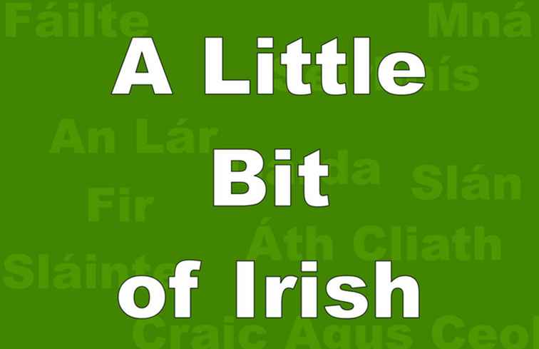 Une brève introduction à la langue irlandaise / Irlande