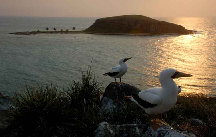 Abrolhos Marine National Park / Brazilië