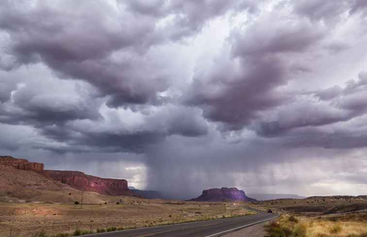 Precipitación media anual en Phoenix, Arizona / Arizona