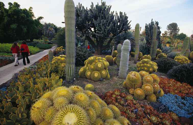 Orto botanico aperto al pubblico a Los Angeles / California