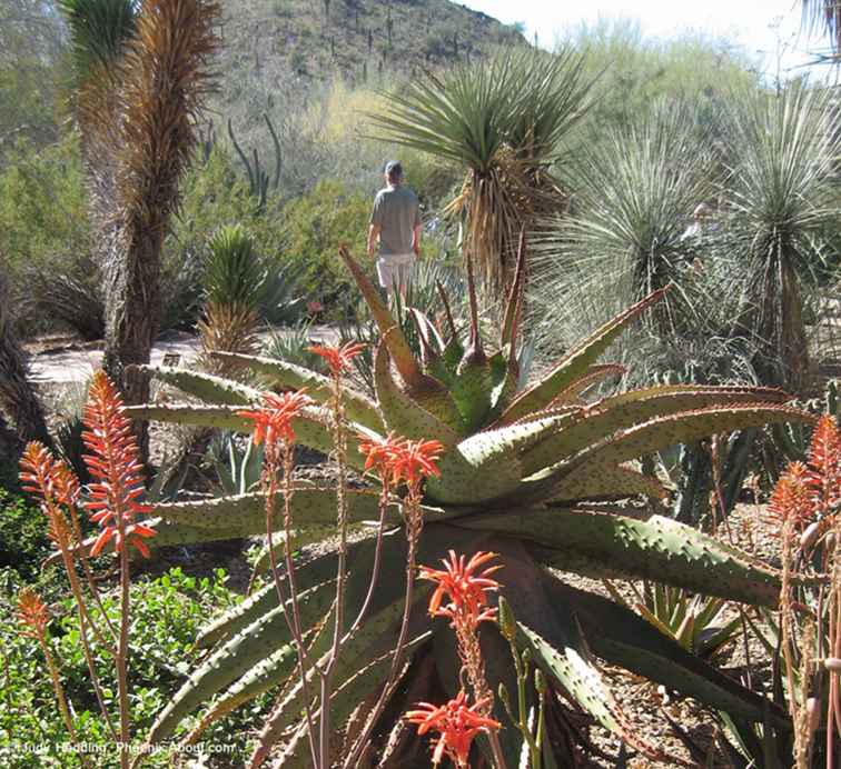 Des expériences faciles à Phoenix et à Scottsdale / Arizona