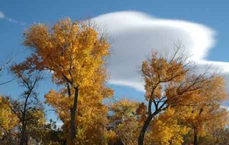 Fall Color Pictures uit de regio Reno / Lake Tahoe / Nevada