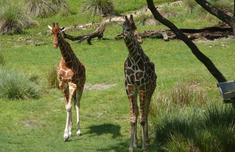 Centres de villégiature pour les familles