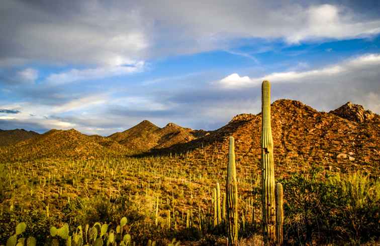 Cose gratis e low cost a Tucson, in Arizona / Arizona