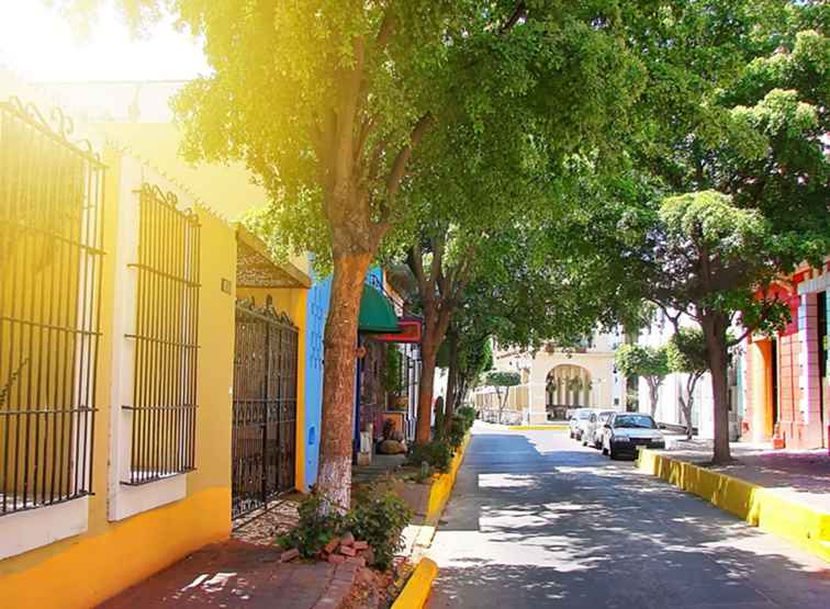 Homoclubs en bars in Mazatlan, Mexico / 