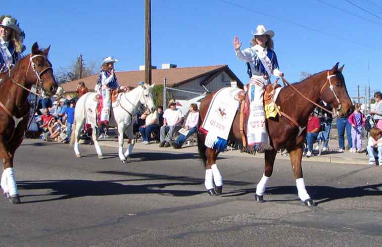 Gold Rush Days Celebration en Rodeo 2017 / Arizona