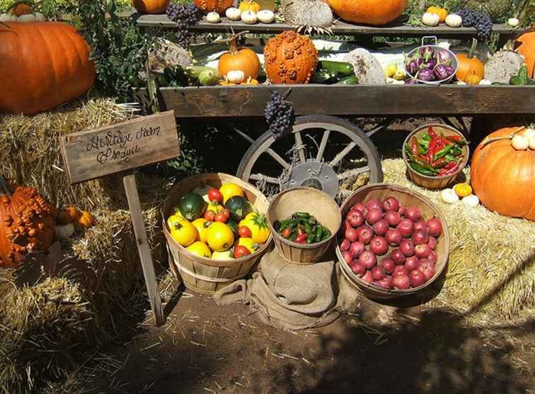 Oogstfeest in de Heritage Farm Heritage Site in Albuquerque / New Mexico