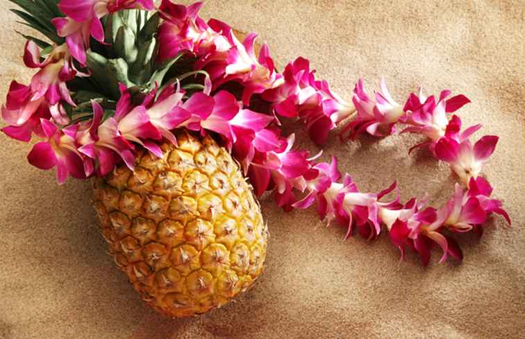 Hawaiiaans eten voor uw vakantie Cookout / Hawaii