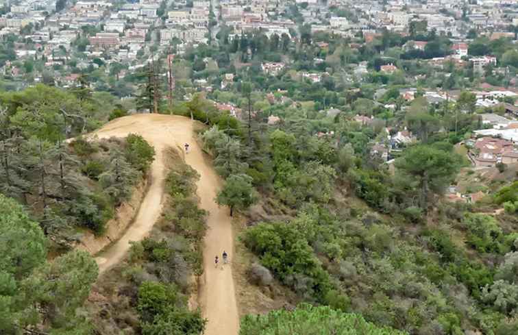 Vandring i Griffith Park / kalifornien