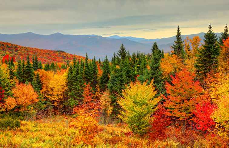 Come vedere New England Fall Foliage al suo picco / 