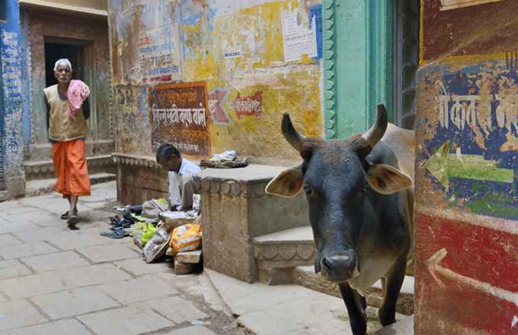 India Reistips 9 Veel voorkomende problemen te verwachten in India / 