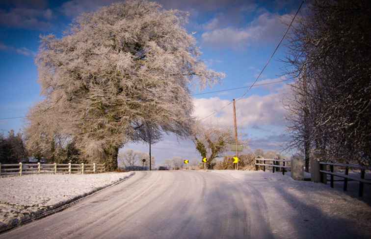 Irland Månad efter månad Ett år av händelser / irland