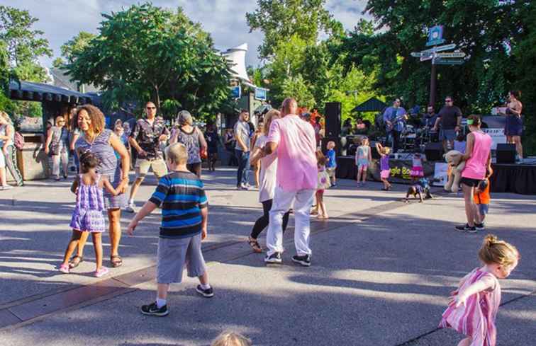 Jungle Boogie Konserter på St. Louis Zoo / Missouri