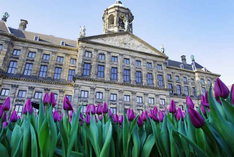 Inicie su experiencia en Amsterdam con las atracciones de Dam Square / Países Bajos