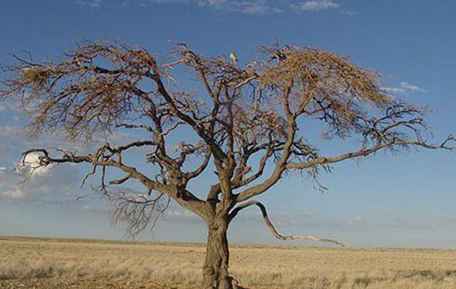 Namibië, zuidelijk Afrika