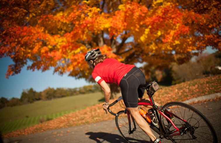 New England Fall Foliage Bike Tours / 