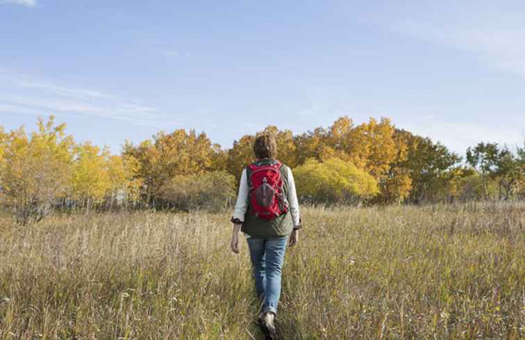 New England Fall Foliage Tours Escursioni e passeggiate / 