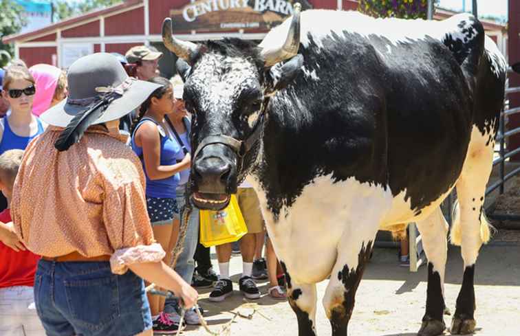 Orange County Fair 2017 / Californie