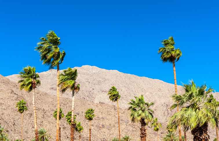 Palm Springs Schwulenbars Guide / Kalifornien