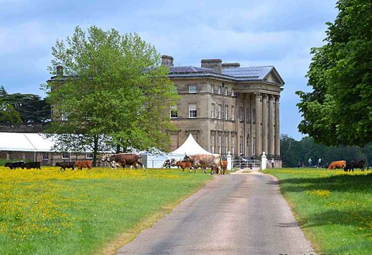 Fotos de Attingham - Una gloriosa casa de campo inglesa / Inglaterra