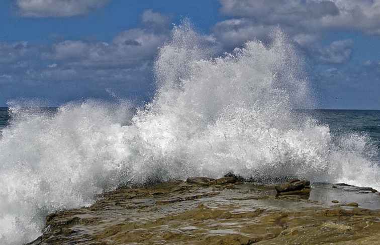 Fotos de La Jolla California - 7 magníficas razones para visitar / California