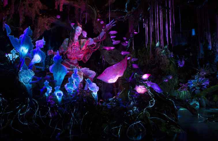 Le 10 cose più interessanti da fare su Pandora the World of Avatar / Florida