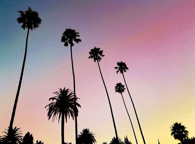 De 12 beste Californische attracties / Californië