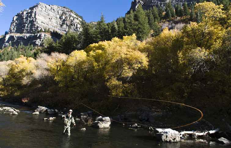 Les meilleurs spots de pêche à la mouche près de Salt Lake City
