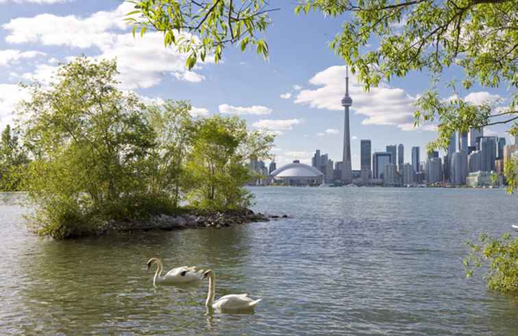 Las mejores cosas para hacer en Toronto por menos de $ 10 / Toronto