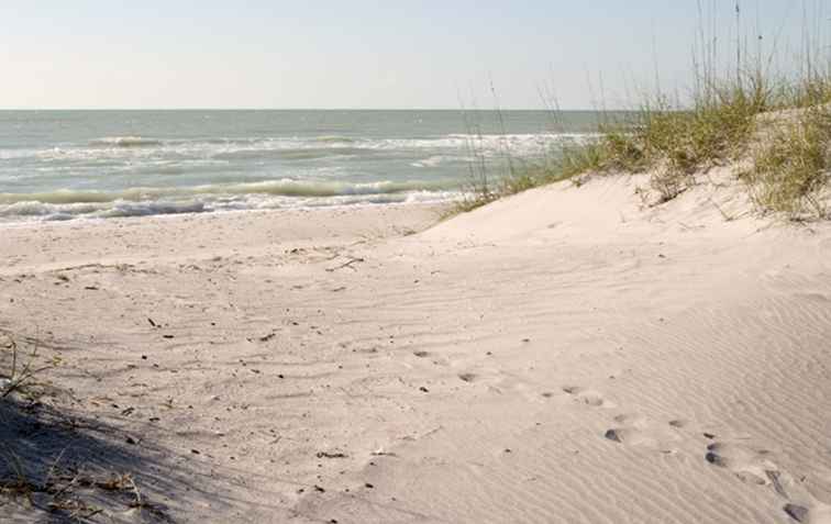 Le 10 migliori spiagge di Tampa Bay / Florida