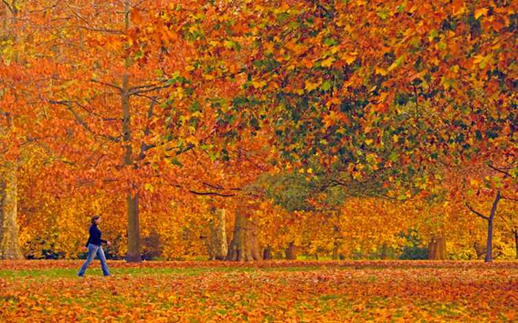 De beste dingen om te doen in Londen in de herfst / Engeland