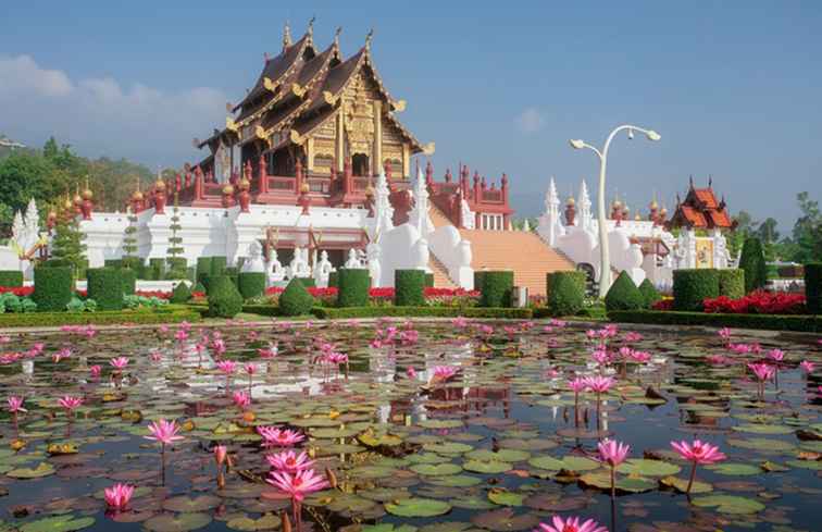 Chiang Mai: toutes les activités / Thaïlande