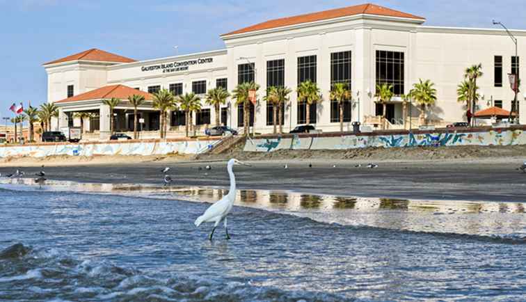 Dingen om te doen met kinderen op Galveston Island / Texas