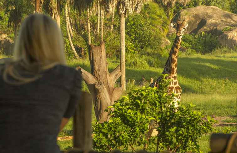Top 10 des attractions au royaume des animaux de Disney World / Floride