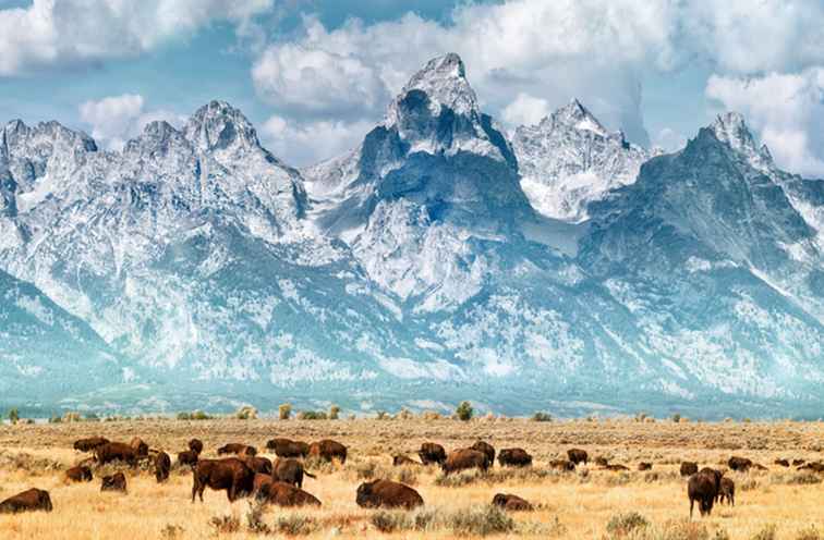 Top 10 des attractions du Wyoming