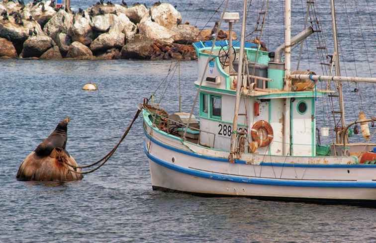 Las 11 mejores cosas que hacer en la ciudad de Monterey, California / California