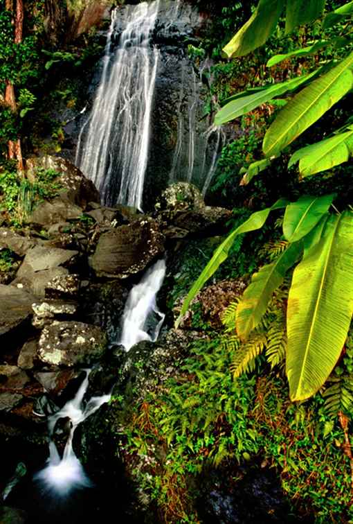 Attractions naturelles à Porto Rico