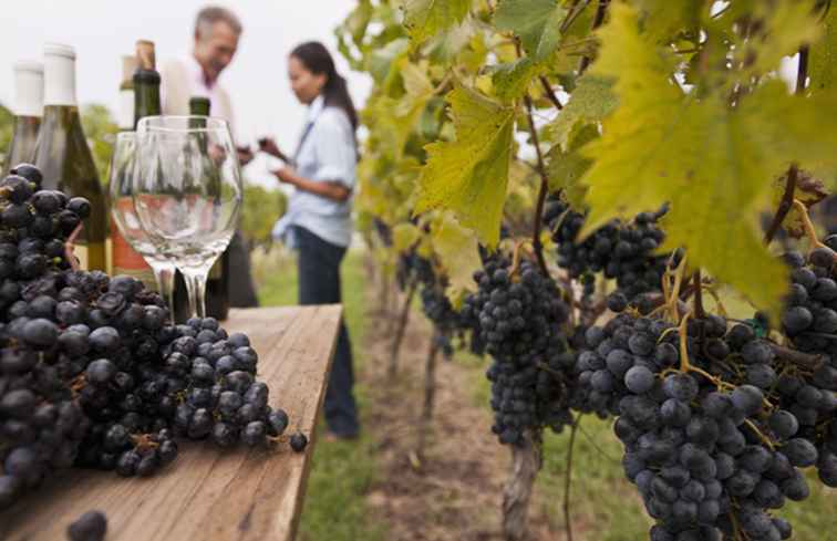Los mejores lugares para degustar Virginia Wines