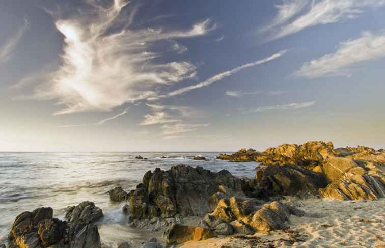 Bästa saker att göra i Pacific Grove, Kalifornien / kalifornien