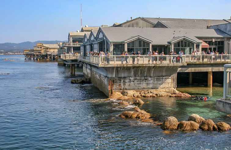 Besöker Monterey Bay Aquarium / kalifornien