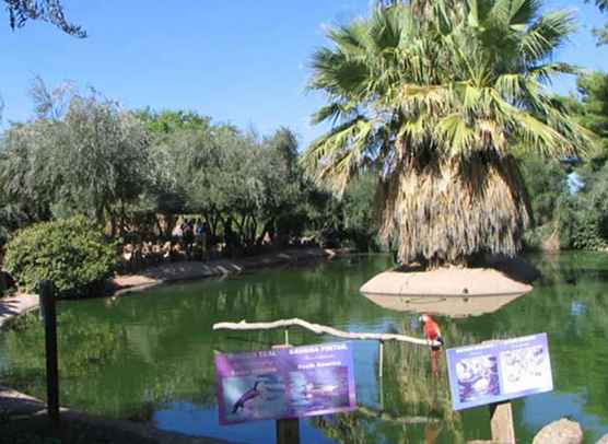 Wildlife World Zoo, Aquarium und Safari Park / Arizona
